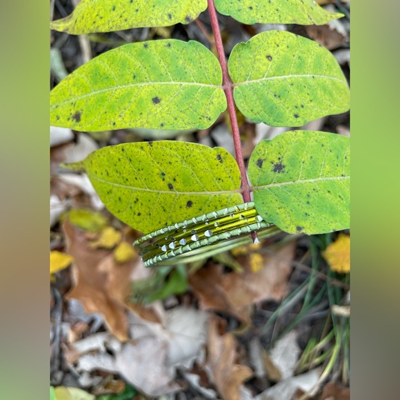 Bangles - Picture 3 of 13
